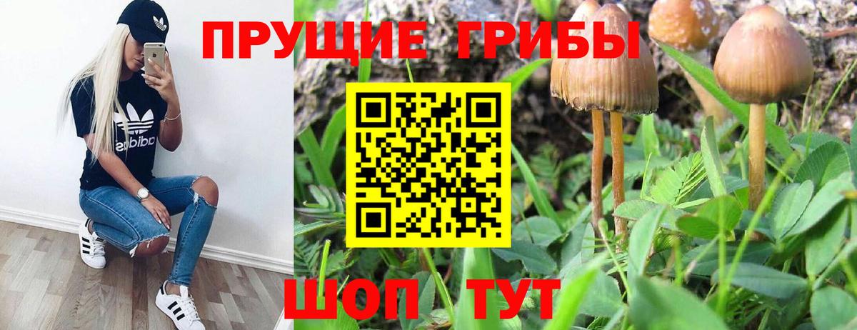 Галлюциногенные грибы MAGIC MUSHROOMS Балашов